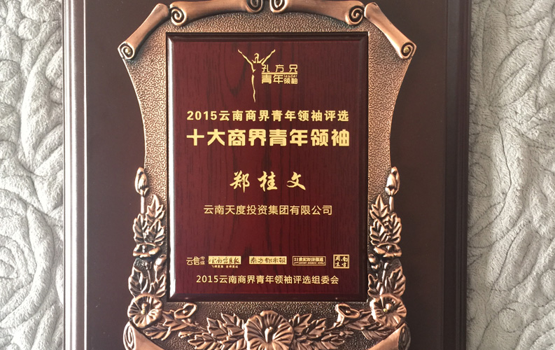 在&ldquo;互聯(lián)網(wǎng)大時(shí)代&rdquo;的背景下，天度作為本土很大和很有名的互聯(lián)網(wǎng)服務(wù)企業(yè)，為近萬家傳統(tǒng)企業(yè)轉(zhuǎn)型互聯(lián)網(wǎng)+提供了服務(wù)和幫助，獲此獎(jiǎng)項(xiàng)后，我們將再接再厲，創(chuàng)造更高的社會(huì)價(jià)值